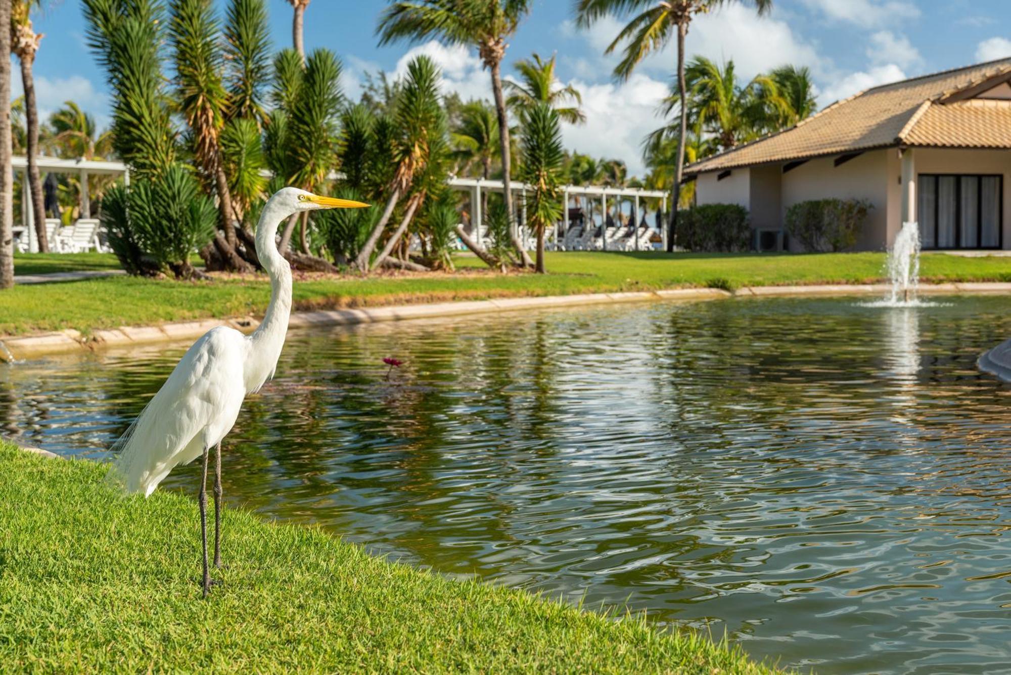קאוקאיה Vila Gale Resort Cumbuco מראה חיצוני תמונה
